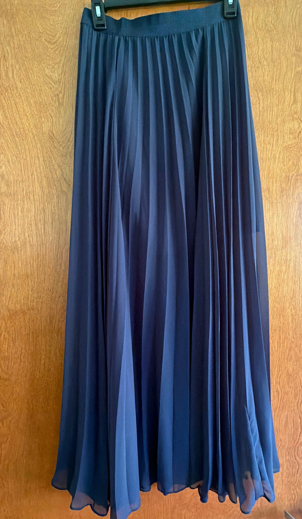Ann Taylor Navy Sheer Pleated Maxi Skirt