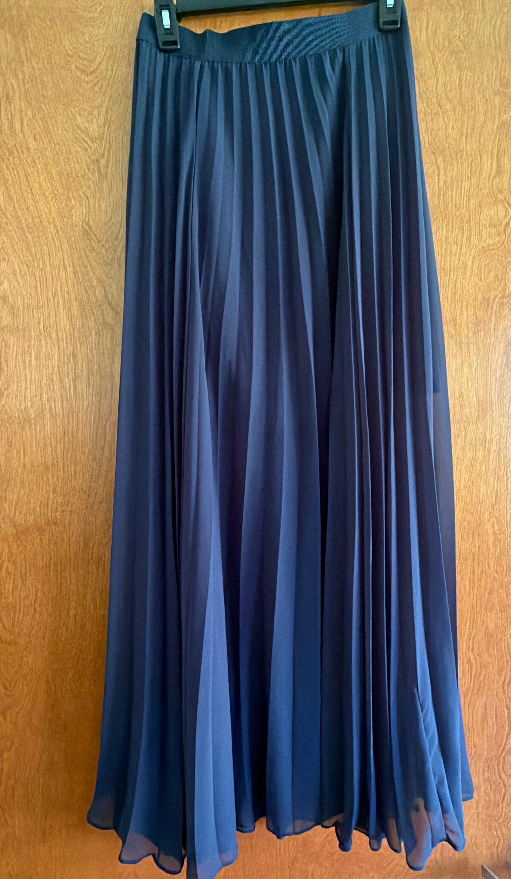 Ann Taylor Navy Sheer Pleated Maxi Skirt