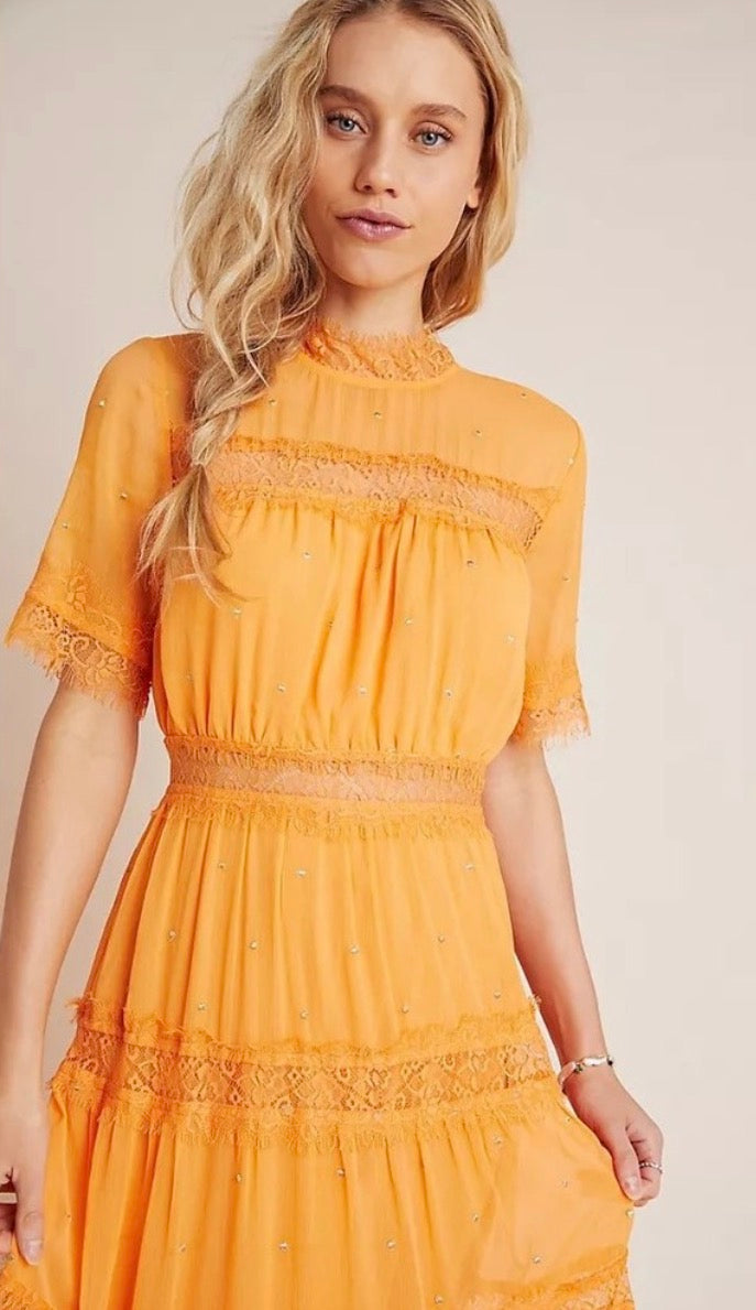 Anthropologie Ranna Gill Chiffon Maxi Dress NWT - size 10P